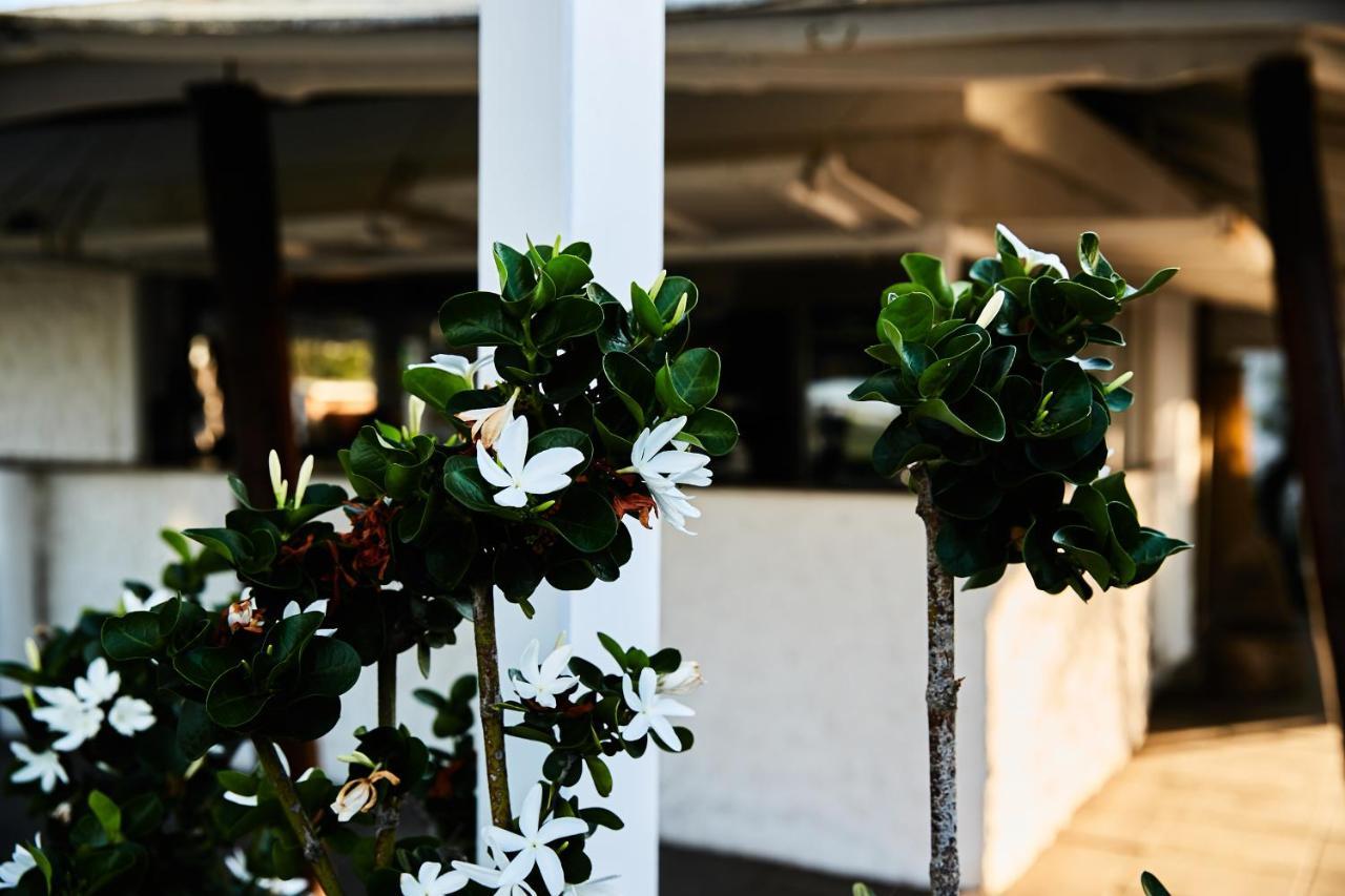 Enterprise Hotel Montalto di Castro